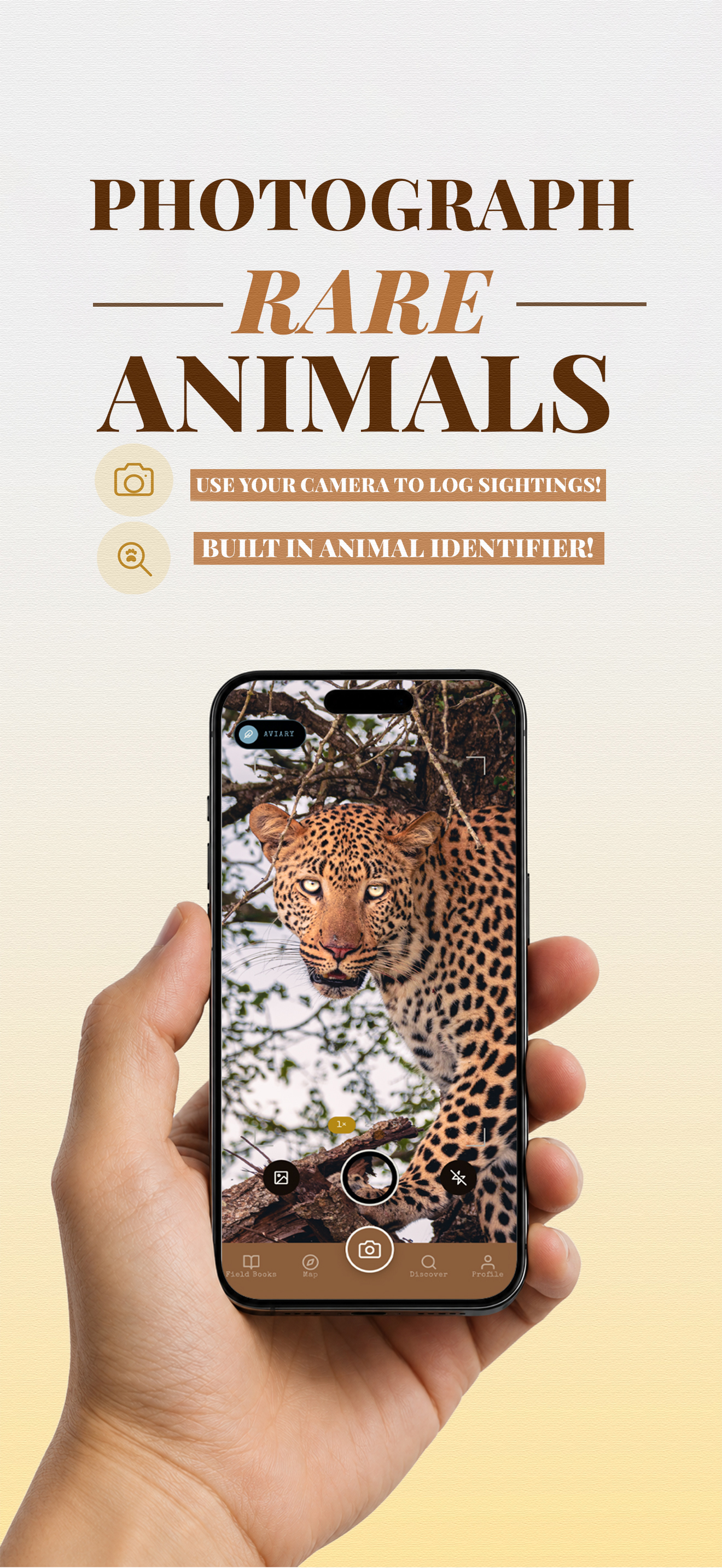 Photographing a leopard through the in-app camera